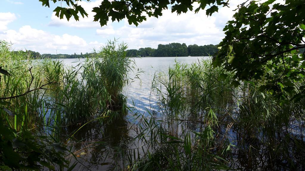 Ferienhaus Natura Neuruppin Rom bilde