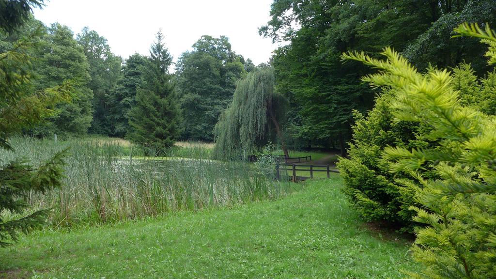 Ferienhaus Natura Neuruppin Rom bilde