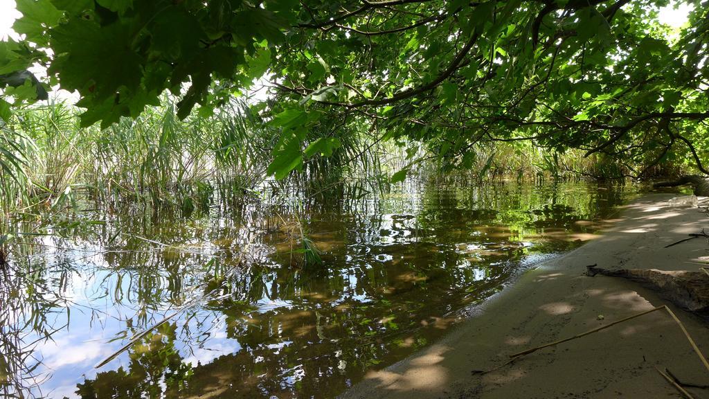 Ferienhaus Natura Neuruppin Rom bilde