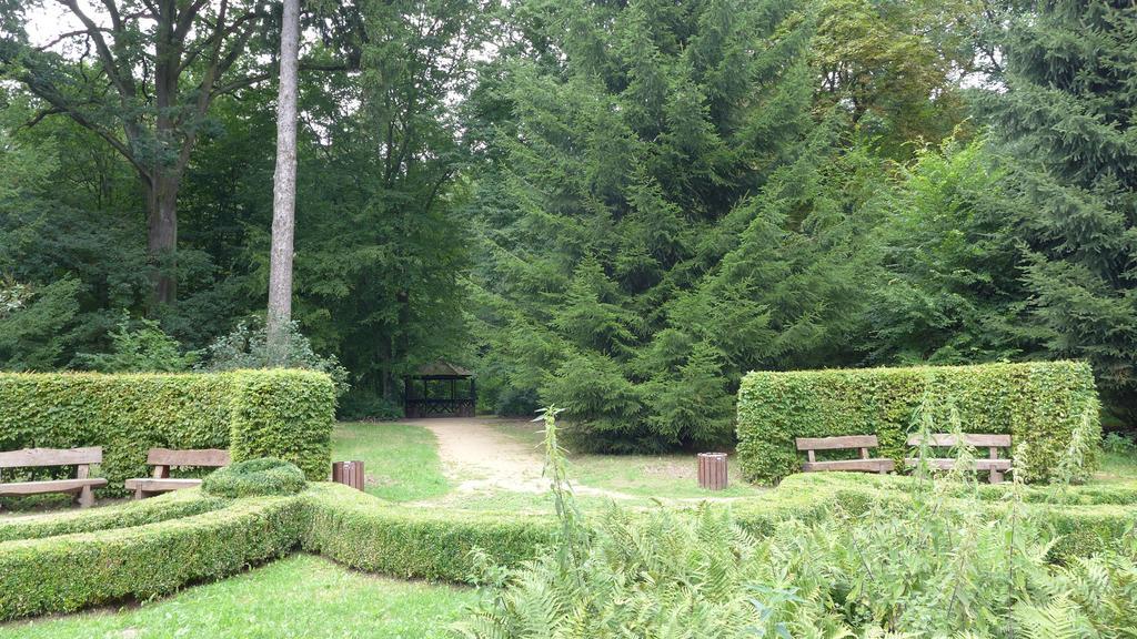 Ferienhaus Natura Neuruppin Rom bilde