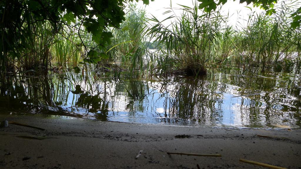 Ferienhaus Natura Neuruppin Rom bilde