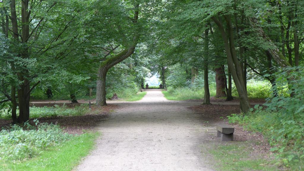 Ferienhaus Natura Neuruppin Rom bilde