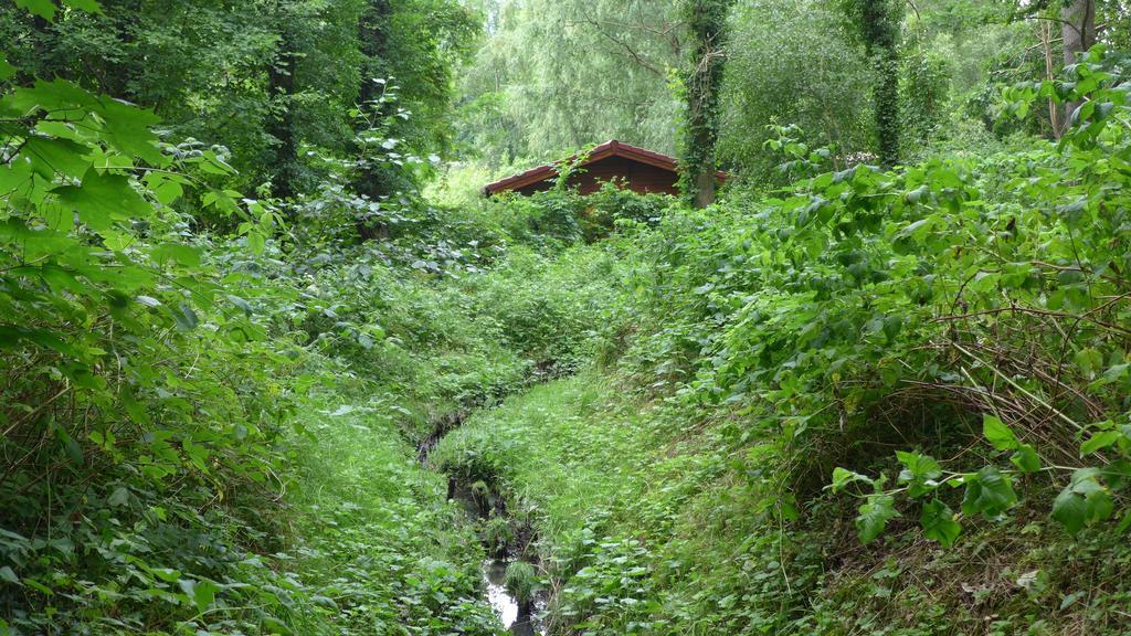 Ferienhaus Natura Neuruppin Rom bilde